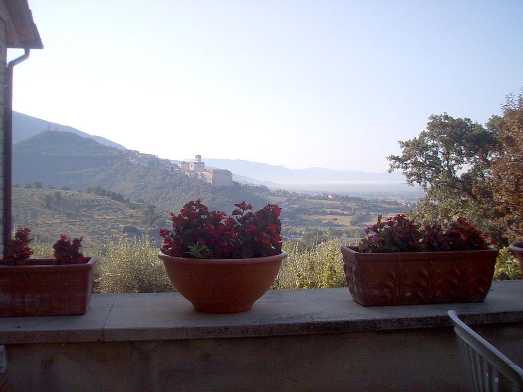 B&B Colle San Francesco 아시시 외부 사진