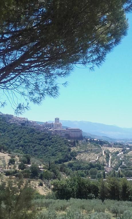 B&B Colle San Francesco 아시시 외부 사진