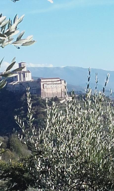 B&B Colle San Francesco 아시시 외부 사진